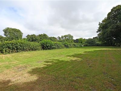 Picture 23
